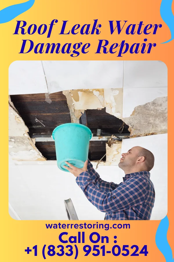 Roof Leak Water Damage Repair in Morven, GA