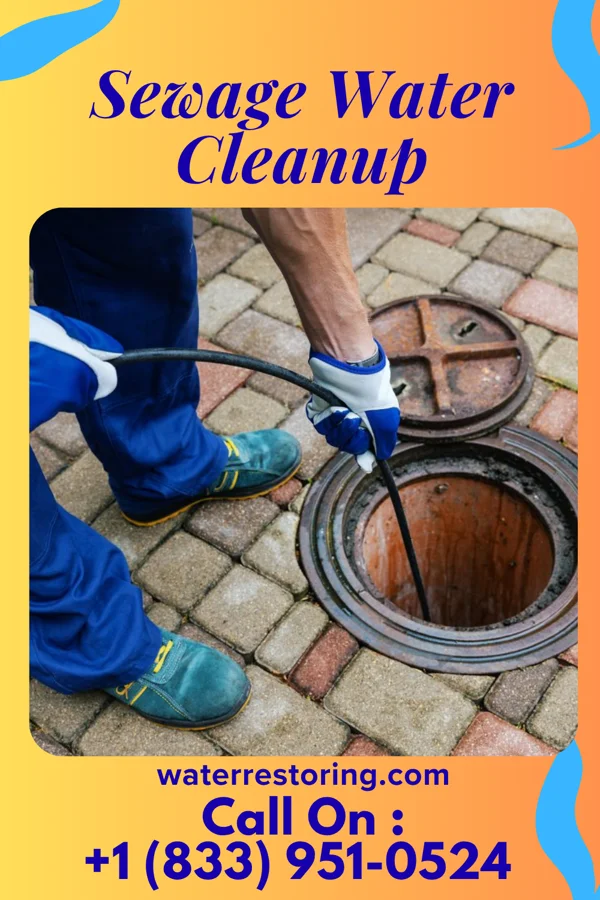 Sewage Water Cleanup in Morven, GA